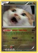 Catto