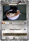 Popcorn Cat
