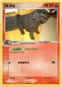 fat dog