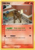 cute dog