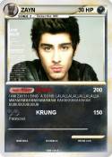 ZAYN