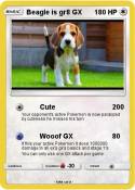Beagle is gr8