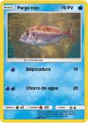 Pargo rojo