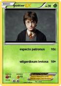 potter