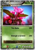 Fleur