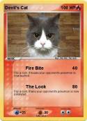 Devil's Cat