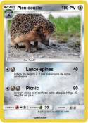 Picnidouille