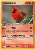 FLETCHENDER