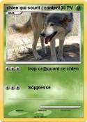 chien qui