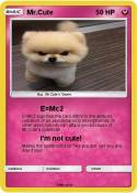 Mr.Cute