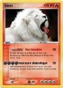lionci