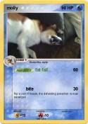 molly