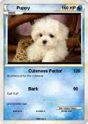 Puppy