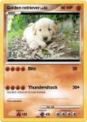 Golden retrieve