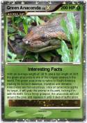 Green Anaconda