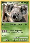 Cuddly Koala