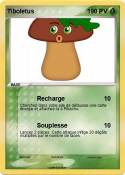 Tiboletus