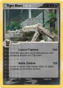 Tigre Blanc