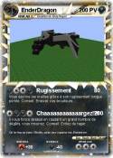 EnderDragon