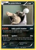 De poes kittens