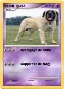 mastiff @362