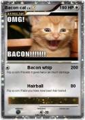 Bacon cat