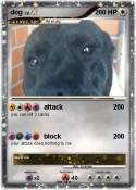 dog