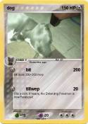 dog