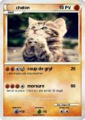 chaton