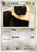 Cat in Bread