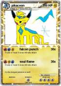 pikaceon
