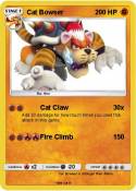 Cat Bowser