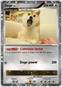 Doge