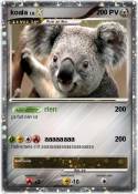koala