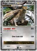 Angel leopard