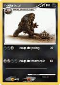 houlgrou