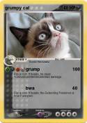 grumpy cat