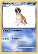 saint-bernard