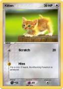 Kitten