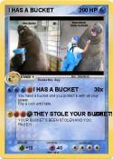I HAS A BUCKET