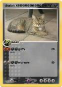chaton X9999999