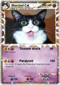 Shocked Cat