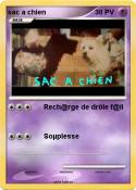 sac a chien