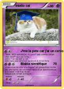 Intello cat