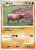 Big bull