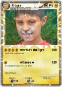 R tigre