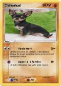 Chihuahua!