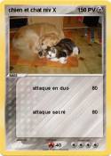chien et chat