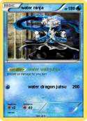 water ninja