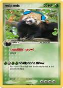 red panda
